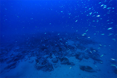 nave romana albenga