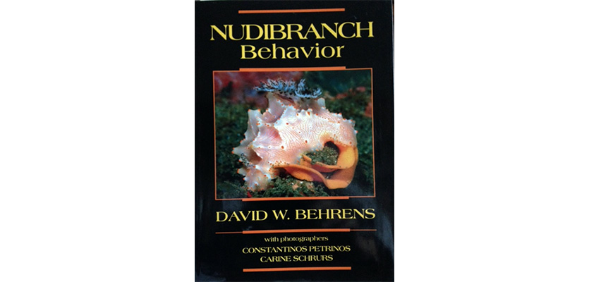 Nudibranch behaviour Nudibranch behaviour