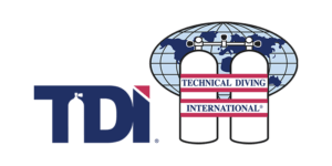 logo tdi