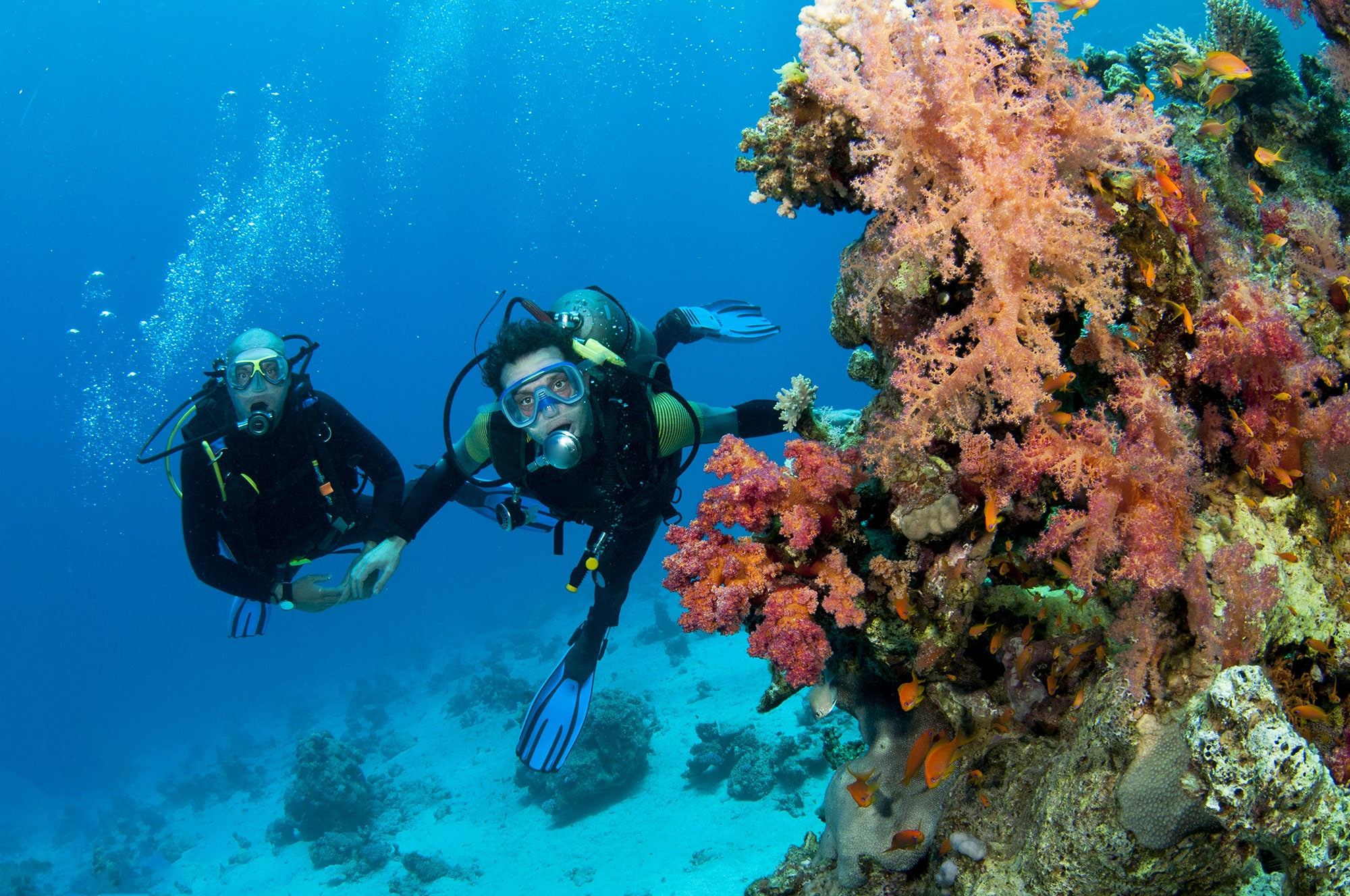 Diving Medicine for Scuba Divers